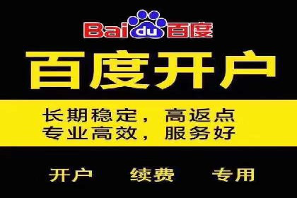某电商平台的SEM推广策略全解析